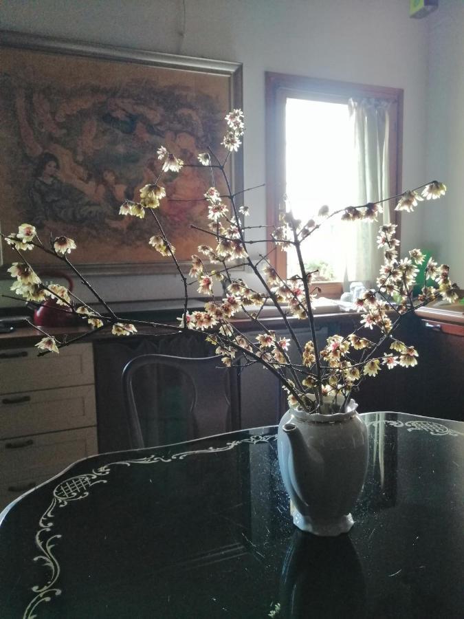 Corte Di Maggio B&B Country House Imola Luaran gambar
