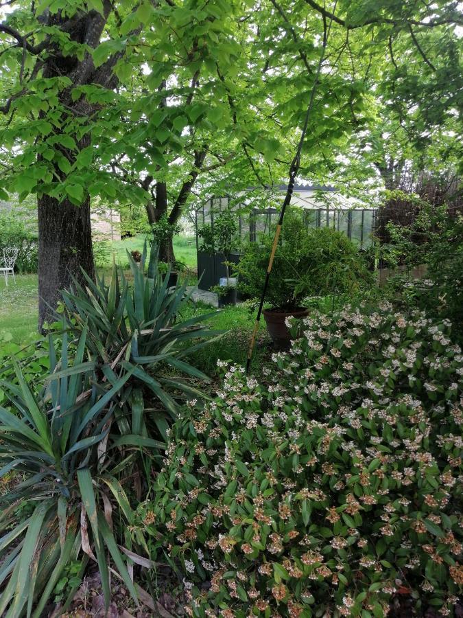 Corte Di Maggio B&B Country House Imola Luaran gambar