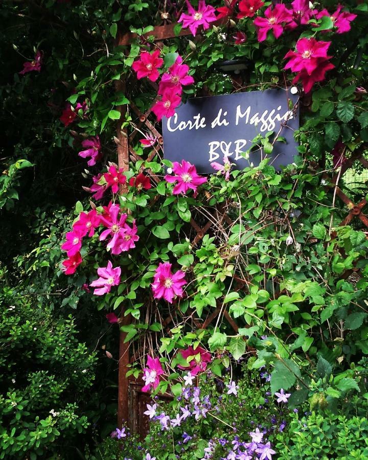 Corte Di Maggio B&B Country House Imola Luaran gambar
